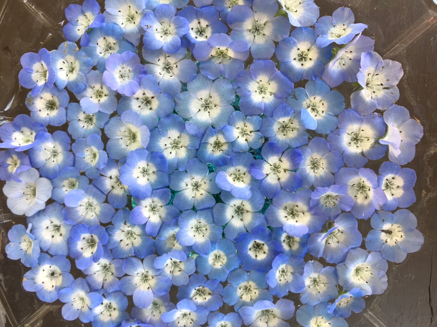 LINE_ALBUM_幸せのバターコーヒー原稿用写真_220413_1